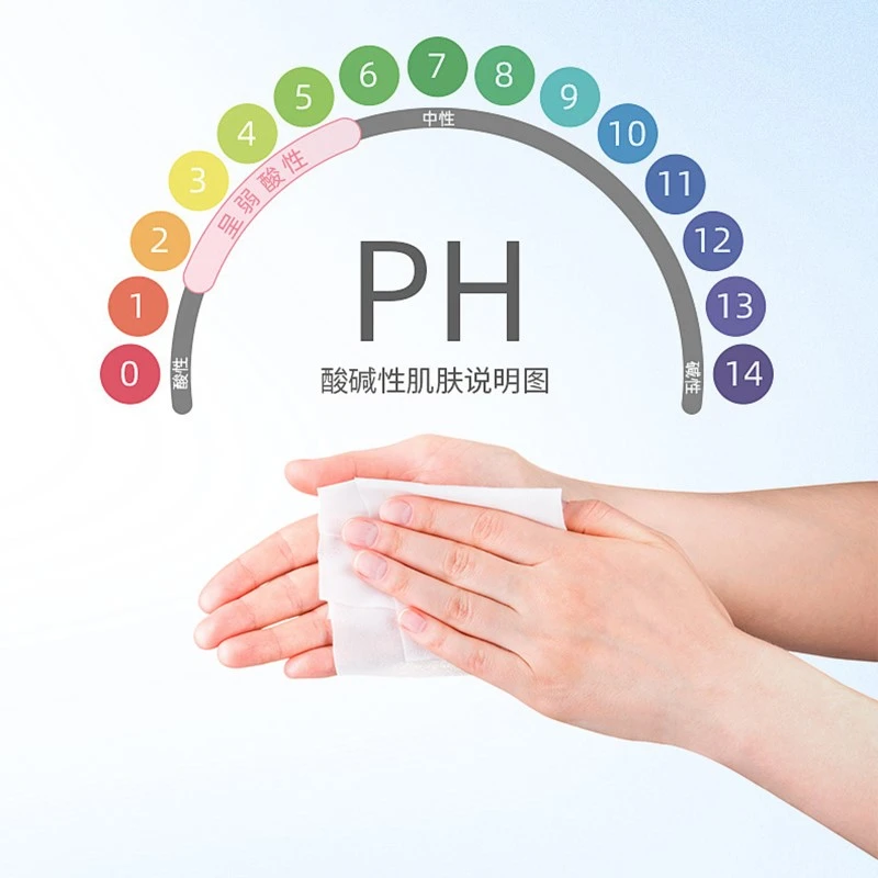 EDI Purified Water Wet Wipes